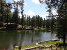 photo thumbnail #9