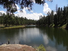 photo thumbnail #10