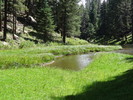 photo thumbnail #12