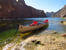 photo thumbnail #13