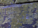 photo thumbnail #14