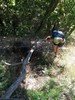 photo thumbnail #3