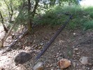 photo thumbnail #11