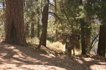 photo thumbnail #1