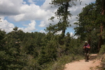 photo thumbnail #2