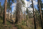 photo thumbnail #1
