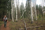 photo thumbnail #3