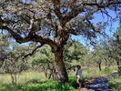 photo thumbnail #12