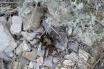 photo thumbnail #1