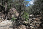 photo thumbnail #14
