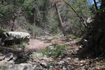 photo thumbnail #15