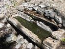 photo thumbnail #7