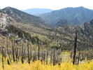 photo thumbnail #8