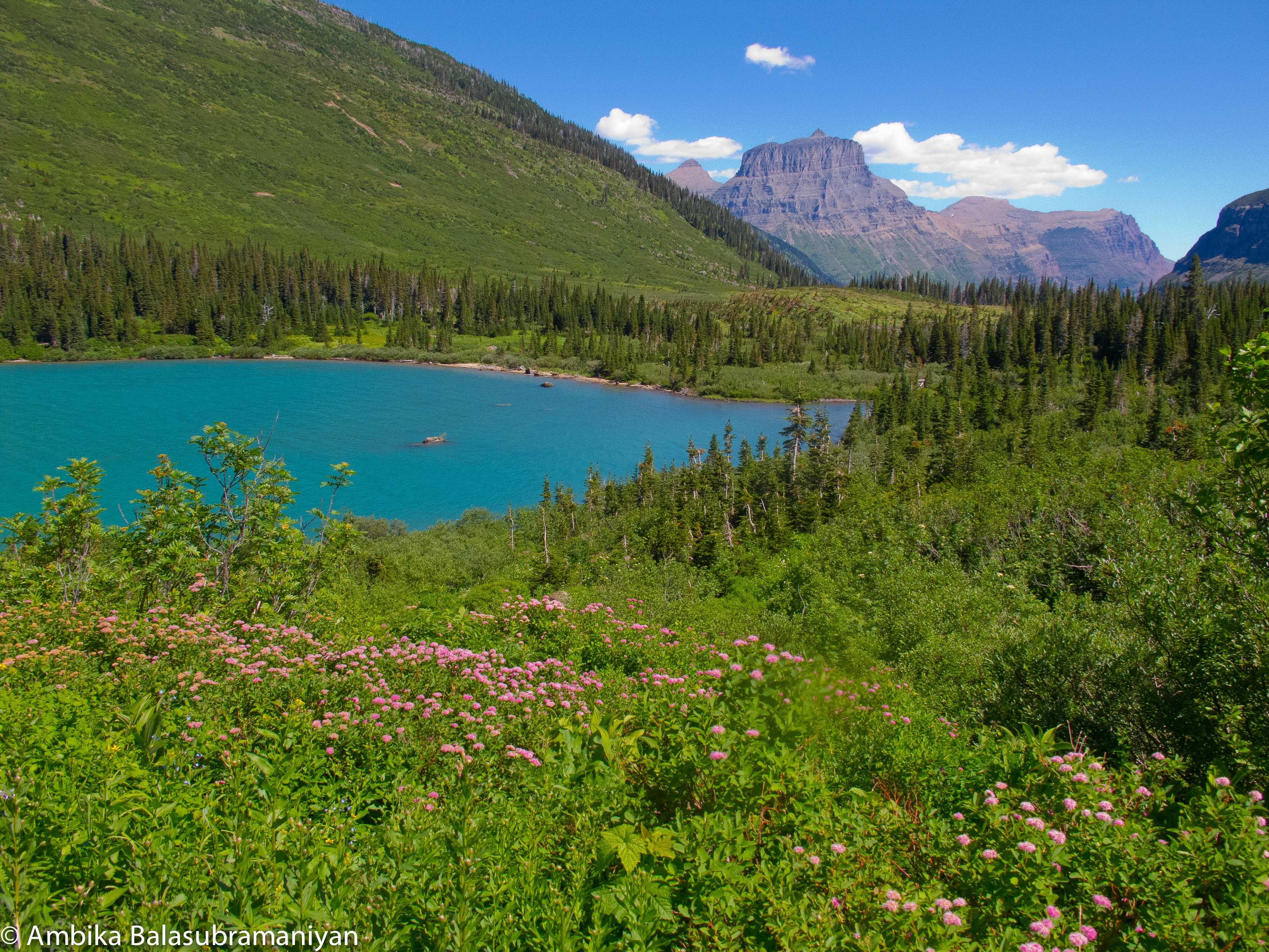 Gunsight Pass, MT • Hike