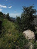 photo thumbnail #9