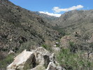 photo thumbnail #14