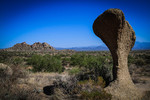 photo thumbnail #4