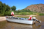 photo thumbnail #9
