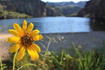 photo thumbnail #10