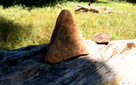 photo thumbnail #15