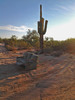 photo thumbnail #4