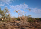 photo thumbnail #7