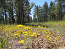 photo thumbnail #2