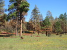 photo thumbnail #3