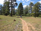 photo thumbnail #8