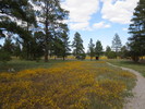 photo thumbnail #11
