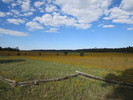 photo thumbnail #12