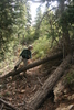photo thumbnail #8