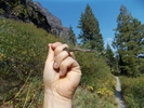 photo thumbnail #1