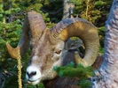 photo thumbnail #13