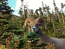 photo thumbnail #14