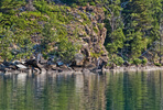 photo thumbnail #4