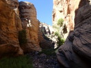photo thumbnail #15
