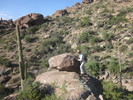 photo thumbnail #6