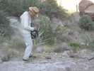 photo thumbnail #8