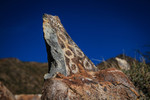 photo thumbnail #2