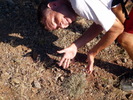 photo thumbnail #3
