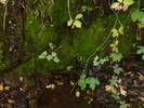 Featured Detail Photo
