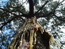 photo thumbnail #15