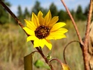 photo thumbnail #10