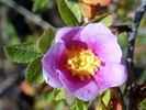 photo thumbnail #11