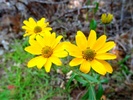photo thumbnail #8