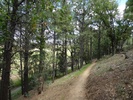 photo thumbnail #12