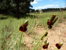 photo thumbnail #14