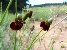 photo thumbnail #15