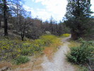 photo thumbnail #4